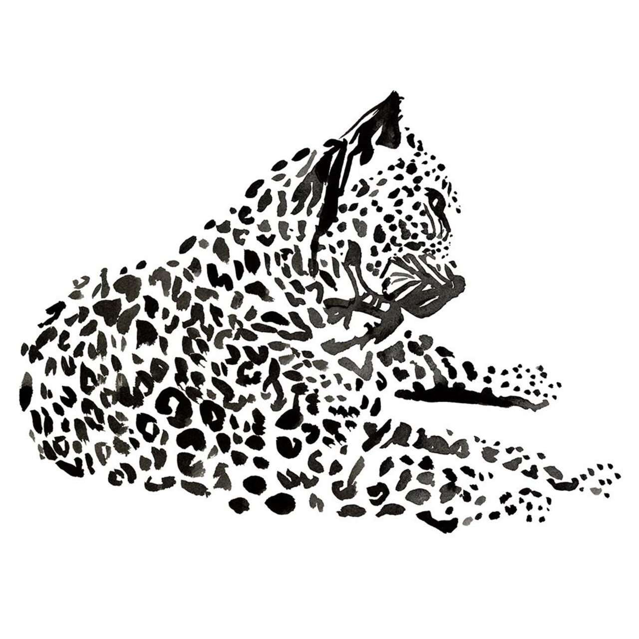 Cheetah Poster Print by Marina Billinghurst - Item # VARPDXPOD60623